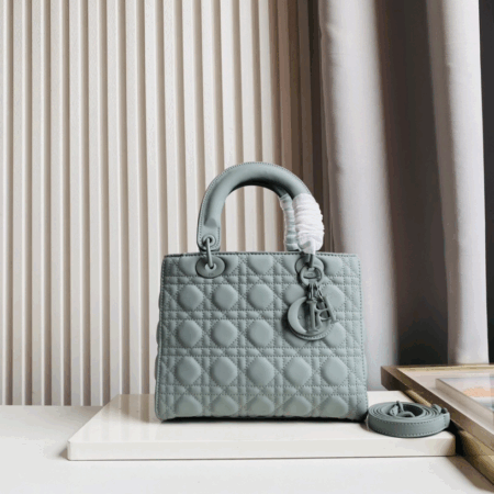 Dior Bag 021