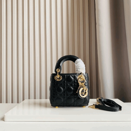 Dior Bag 004