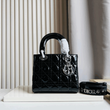 Dior Bag 003