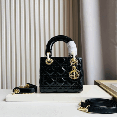 Dior Bag 008