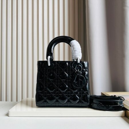 Dior Bag 006