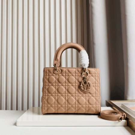 Dior Bag 023