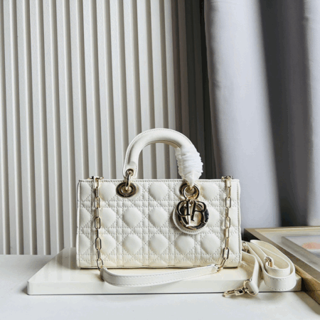 Dior Bag 025