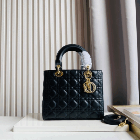 Dior Bag 010