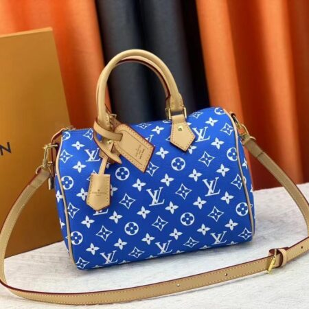 LOUIS VUITTON speedy Bag